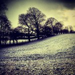 Profile Picture of mattpooley (@mattpooley) on Instagram