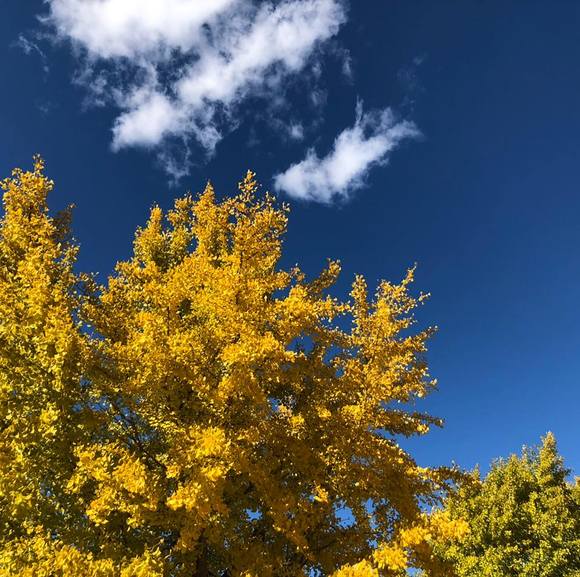 Profile Picture of Jill Parmely (@jillparmely) on Poshmark