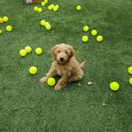 Billy Bradford - Facebook Profile Picture of Billy Bradford (@billy.bradford.376) on Facebook