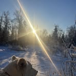 Profile Picture of Logan Denton (@logan.denton.9) on Facebook