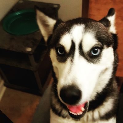 Profile Picture of Todd Sage (@Tallens89) on Twitter