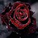 Profile Picture of Dee Sam (@made.sam.775) on Facebook