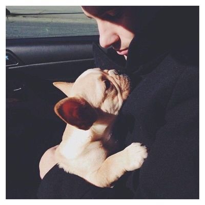 Profile Picture of Buddy Daniel (@BuddyDaniel19) on Twitter