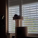 Profile Picture of Polly Wunsch (@plemmonschristopher) on Instagram