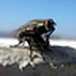 Profile Picture of Ruth Hudson (@murumhudson) on Flickr