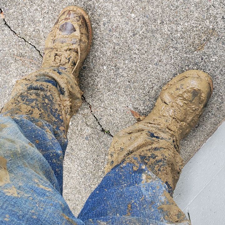 James bodiford - Tiktok Profile Picture of James bodiford (@jamesbodiford) on Tiktok