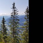 Profile Picture of Michael Reuter (@_michael.reuter_) on Instagram