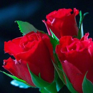 Profile Picture of Rachel Shyr (@231143032) on Myspace