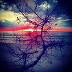 Profile Picture of Raffi Michael Hagopian (@raffi21775) on Instagram
