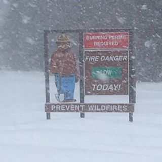 Profile Picture of Josh Simpson (@josh.simpson.9849) on Facebook