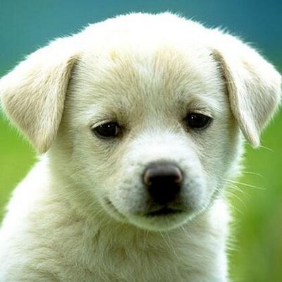 Profile Picture of Kidd, John Kidd. (@kiddjohnkidd) on Twitter