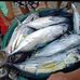 Profile Picture of Mindoro Ship Cahndler Marialyn (@Mindoro-Ship-Cahndler-Marialyn) on Facebook