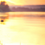 Profile Picture of Gavin Tyrell Smith (@sgavintyrell) on Flickr