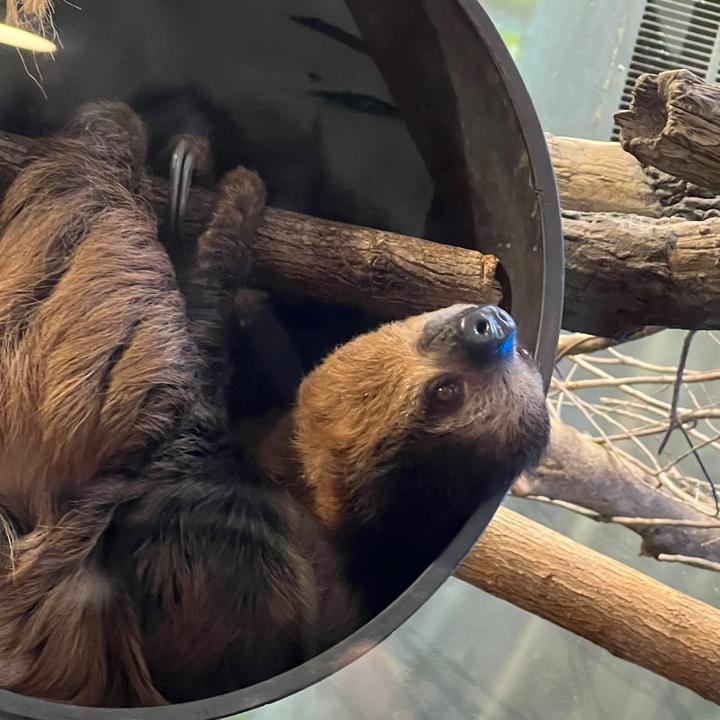 Profile Picture of alex oregel (@alexoregel47) on Tiktok