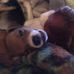 Profile Picture of Joyce Hanner (@joyce.hanner.92) on Facebook