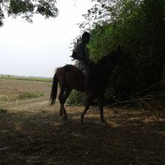 Profile Picture of Michael Maung (@michael_maung) on Twitter