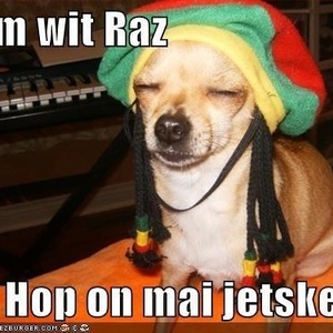 Profile Picture of Adam (@adamgo95) on Myspace