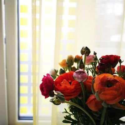 Profile Picture of Su Tong (@SuTong90551185) on Twitter