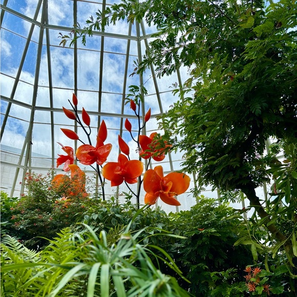 Profile Picture of Lauren Hannagan (@laurenn0704) on Poshmark