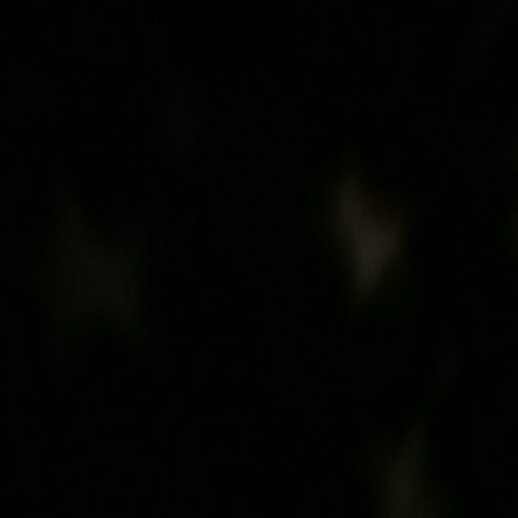 Profile Picture of Amber Bailey (@amberlynn519) on Poshmark