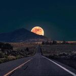 Profile Picture of Belmar Leon Jonny (@__.leon__jonny) on Instagram