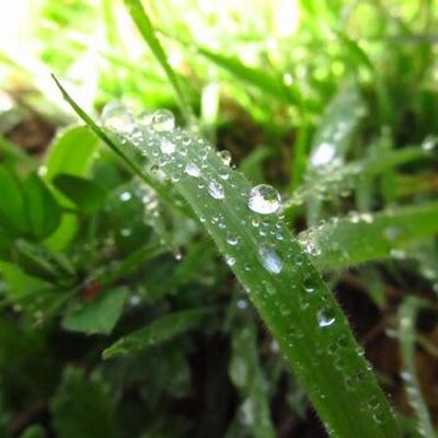 Profile Picture of Jacqueline Claude (@jclaudereyes) on Twitter