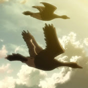 Profile Picture of Tara Nguyen (@taranguyen980) on Youtube