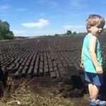 Profile Picture of Brian Folan (@brianfolan) on Instagram