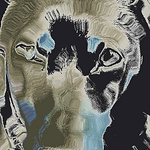 Profile Picture of Adam Gawronski (@bodidog) on Flickr