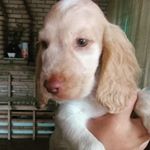 Profile Picture of Luke Rodrigues Favero (@luke_rodrigues_favero) on Instagram