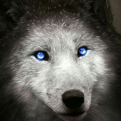 Profile Picture of Luiz Alcantara (@LuizAlc95867298) on Twitter