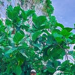 Profile Picture of Paul Kuman (@Paul-Kuman) on Facebook