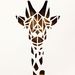 Profile Picture of Connor Pritchard (@clp_1123) on Pinterest