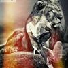 Profile Picture of jonathandupre705 (@@jonathandupre705) on Tiktok