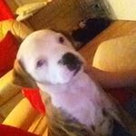 Profile Picture of Darce John (@darcejohn) on Instagram