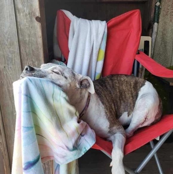 Profile Picture of Rachel Libonati (@rlibonati) on Poshmark