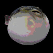 Sophia Becker - Youtube Profile Picture of Sophia Becker (@sophiabecker2807) on Youtube