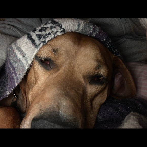 Marlene Tryder - Poshmark Profile Picture of Marlene Tryder (@mamatryder) on Poshmark