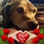 Profile Picture of John Cocco (@johncocco) on Instagram