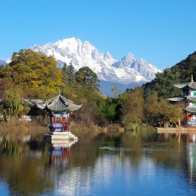 Profile Picture of David Anderman (@DAnderman123) on Twitter