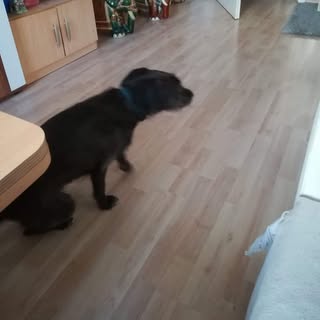 Profile Picture of Manfred Arnold (@arnold_manfred) on Instagram