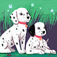 Profile Picture of Lucas Canales (@lucas-canales-8) on Quora