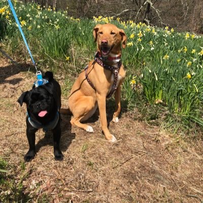 Profile Picture of Tim Henry (@then122) on Twitter