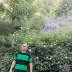 Profile Picture of Javad Rezaei (@Javad-Rezaei) on Facebook