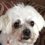 Profile Picture of Alice Sumner (@sumner3042) on Instagram