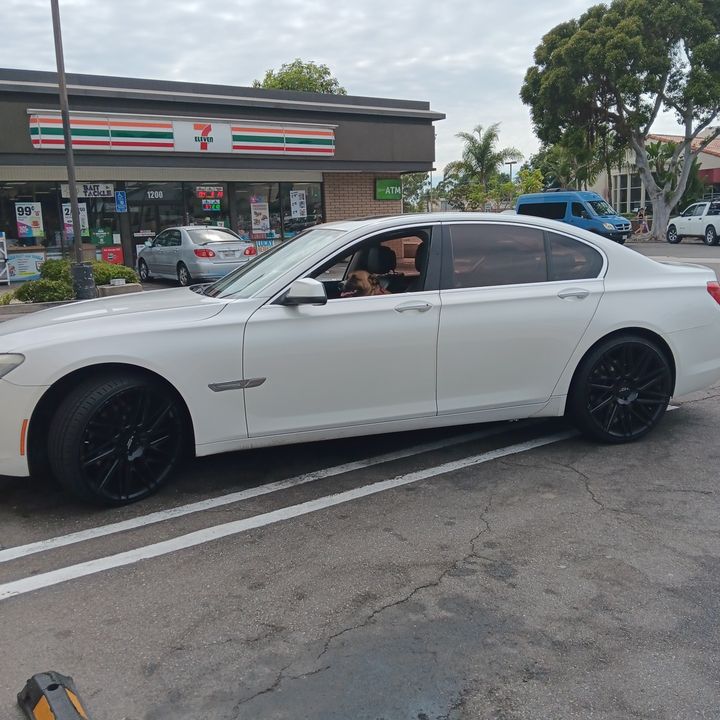 Profile Picture of David Wambaugh (@davidwambaugh) on Tiktok