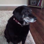 Profile Picture of DARCY BRADLEY (@pearlzd10) on Instagram