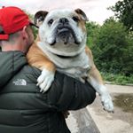 Profile Picture of Louise Rollings (@bruce_edward_rollings) on Instagram