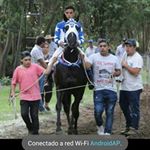 Boris Guzman - Instagram Profile Picture of Boris Guzman (@borisguzman3) on Instagram