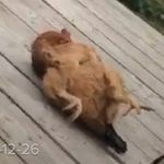 Profile Picture of korbin james holsworth (@holswo) on Instagram